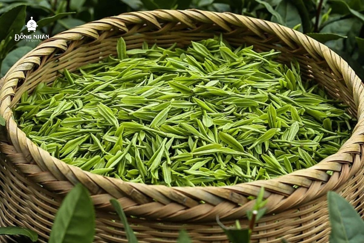 TRÀ ORGANIC LÀ GÌ? TẠI SAO TRÀ ORGANIC LẠI ĐẮT HƠN TRÀ THƯỜNG?
